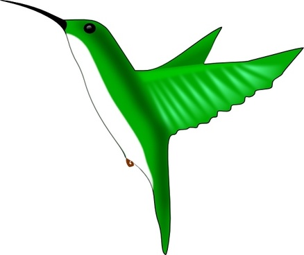 Free Free 183 Vector Hummingbird Svg Free SVG PNG EPS DXF File