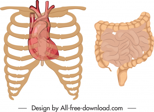 Download Heart Organ Icon Free Vector Download 34 521 Free Vector For Commercial Use Format Ai Eps Cdr Svg Vector Illustration Graphic Art Design