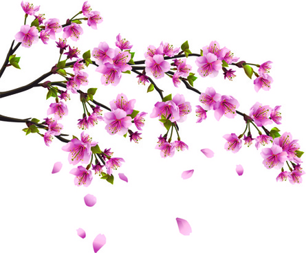 Cherry Blossom Free Vector Download 1 252 Free Vector For Commercial Use Format Ai Eps Cdr Svg Vector Illustration Graphic Art Design