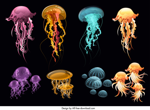 Download Jellyfish Free Vector Download 48 Free Vector For Commercial Use Format Ai Eps Cdr Svg Vector Illustration Graphic Art Design