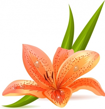 Free Free 227 Vector Lily Flower Svg SVG PNG EPS DXF File