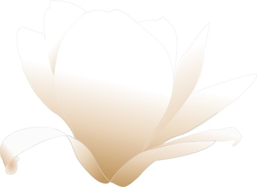 Magnolia free vector download (10 Free vector) for commercial use