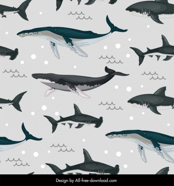 Download Dolphin Whale Shark Free Vector Download 551 Free Vector For Commercial Use Format Ai Eps Cdr Svg Vector Illustration Graphic Art Design