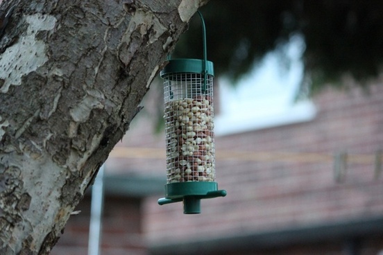 Feeder Free Stock Photos Download 28 Free Stock Photos For