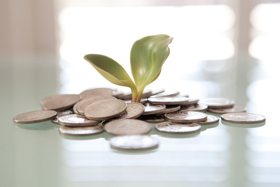 Money Plant Free Stock Photos Download 6 705 Free Stock Photos For Commercial Use Format Hd High Resolution Jpg Images