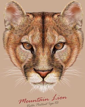Mountain Lion Free Vector Download 1 433 Free Vector For Commercial Use Format Ai Eps Cdr Svg Vector Illustration Graphic Art Design