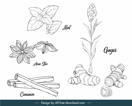 Download Herbs Free Vector Download 212 Free Vector For Commercial Use Format Ai Eps Cdr Svg Vector Illustration Graphic Art Design
