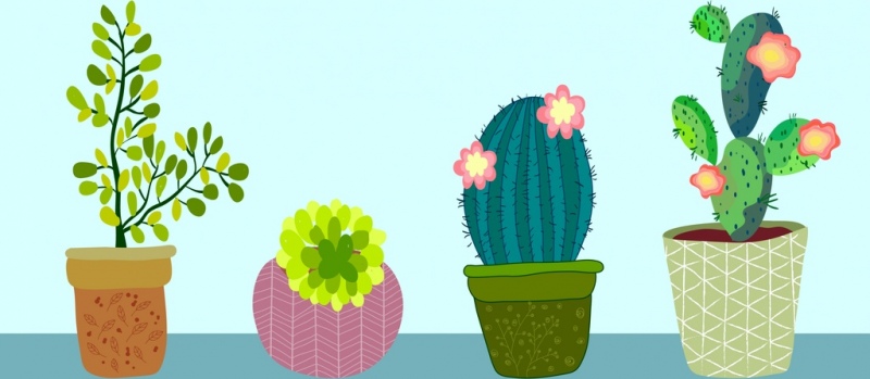 Free Free Cactus Flower Svg Free SVG PNG EPS DXF File