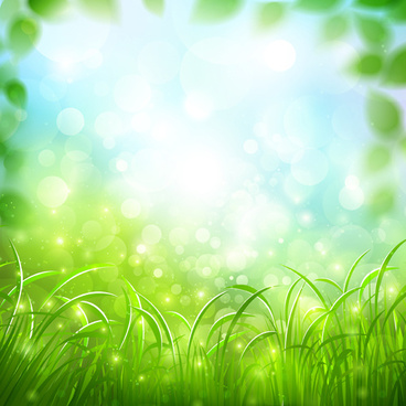 Vector green islamic background free vector download 