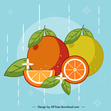 Free Free Orange Fruit Svg 380 SVG PNG EPS DXF File