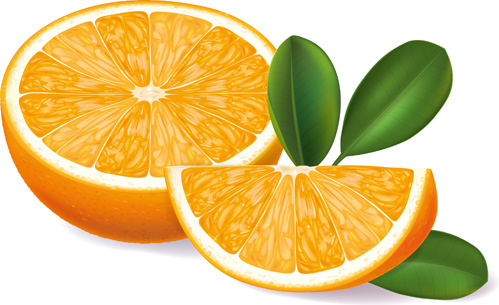 Vector Orange Segment Fruit Free Vector Download 4 939 Free Vector For Commercial Use Format Ai Eps Cdr Svg Vector Illustration Graphic Art Design