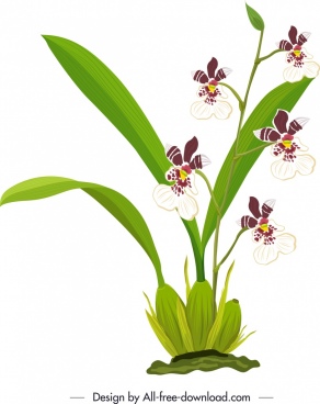 Orchid Free Vector Download 97 Free Vector For Commercial Use Format Ai Eps Cdr Svg Vector Illustration Graphic Art Design