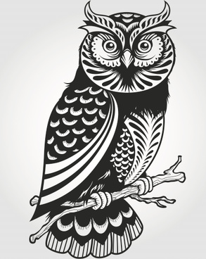 Free Free 320 Snowy Owl Svg SVG PNG EPS DXF File