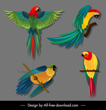 Colorful Bird Flying Free Vector Download 34 850 Free Vector For Commercial Use Format Ai Eps Cdr Svg Vector Illustration Graphic Art Design Flying birds silhouette fine art print | zazzle.com. colorful bird flying free vector