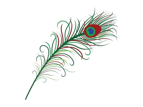 Featured image of post Peacock Feather Drawing With Colour Here presented 64 peacock feather drawing images for free to download print or share