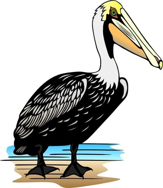 Pelican Free vector in Open office drawing svg ( .svg ) vector ...
