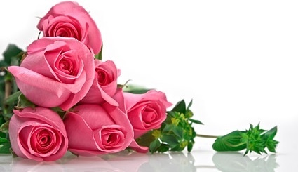 pink roses bouquet picture