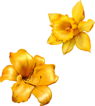 Download Free realistic flower vector free vector download (13,772 ...