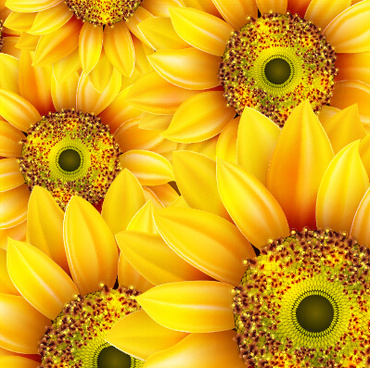 Download Realistic sunflower vector Free vector in Encapsulated ...