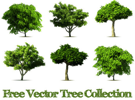 Illustrator Realistic Tree Free Vector Download 237 114 Free Vector For Commercial Use Format Ai Eps Cdr Svg Vector Illustration Graphic Art Design