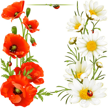 Vector Poppies For Free Download About 35 Vector Poppies Sort By Newest First