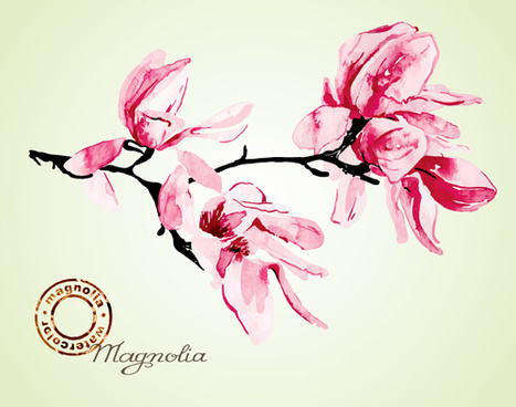 Magnolias Free Vector Download 10 Free Vector For Commercial Use Format Ai Eps Cdr Svg Vector Illustration Graphic Art Design