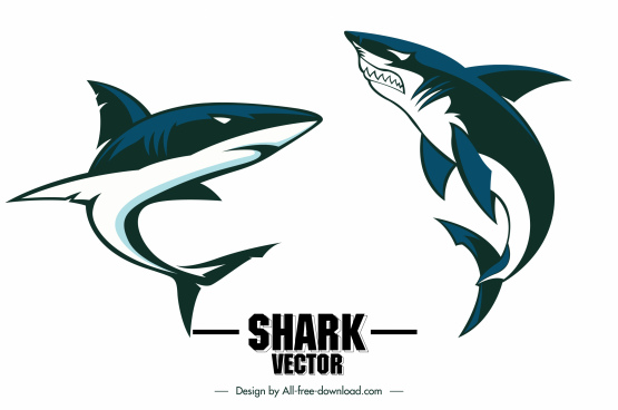Shark Free Vector Download 177 Free Vector For Commercial Use Format Ai Eps Cdr Svg Vector Illustration Graphic Art Design