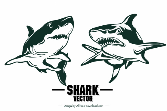 Free Free 111 Shark Teeth Svg SVG PNG EPS DXF File