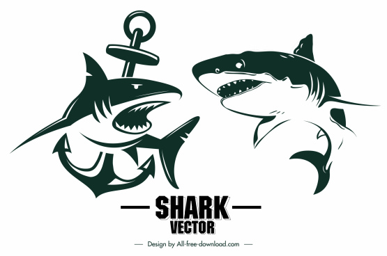 Free Free 172 Great White Shark Svg Free SVG PNG EPS DXF File