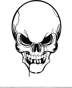 Skeleton free vector download (176 Free vector) for commercial use ...
