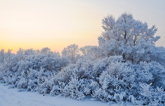 Winter landscape highdefinition picture Free stock photos in Image ...