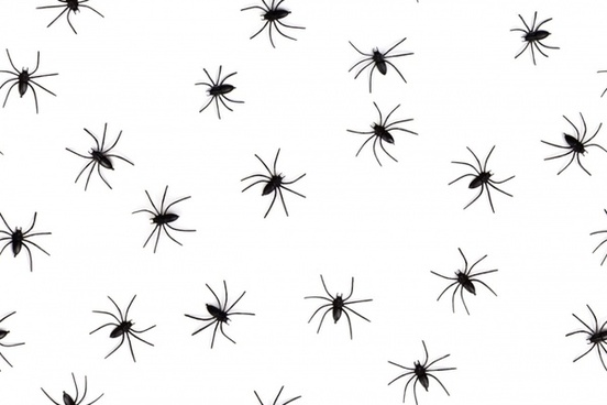 Spider Wallpaper Free Stock Photos Download 1 442 Free Stock Photos For Commercial Use Format Hd High Resolution Jpg Images