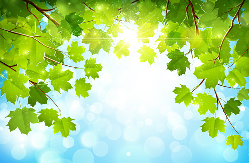 Green Leaf Background Design First Vita Plus Background : You can