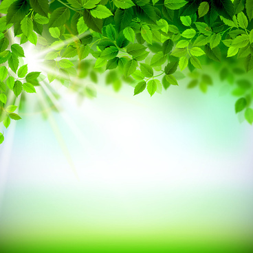 Green leaves theme background 01 vector Free vector in Encapsulated ...