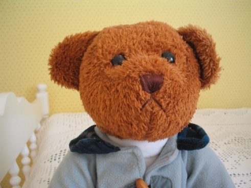 brown color teddy bear