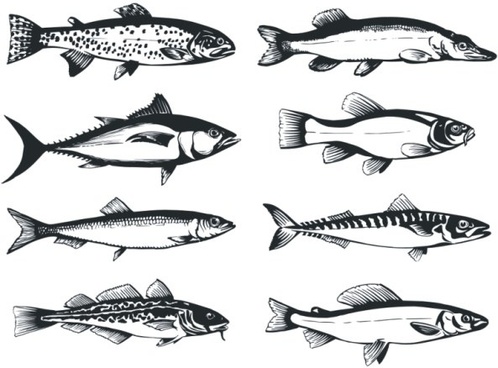 Download Fish Svg Free Vector Download 86 178 Free Vector For Commercial Use Format Ai Eps Cdr Svg Vector Illustration Graphic Art Design