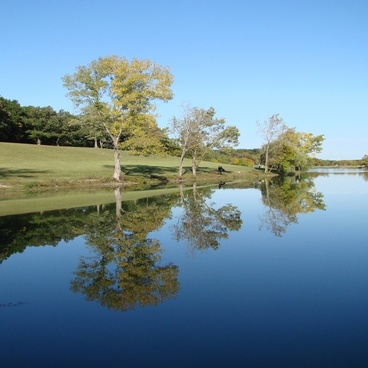 Autumn Trees Reflection Water Free Stock Photos Download 24 295 Free Stock Photos For Commercial Use Format Hd High Resolution Jpg Images