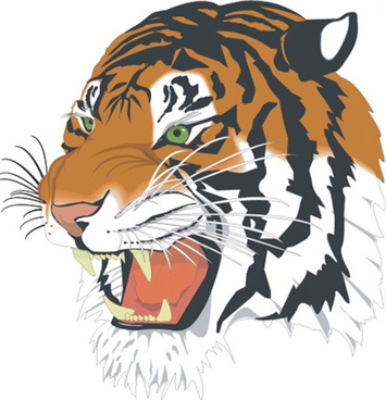 tiger head vector free download