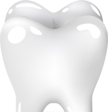 Tooth Cdr Free Vector Download 1 939 Free Vector For Commercial Use Format Ai Eps Cdr Svg Vector Illustration Graphic Art Design Sort By Popular First