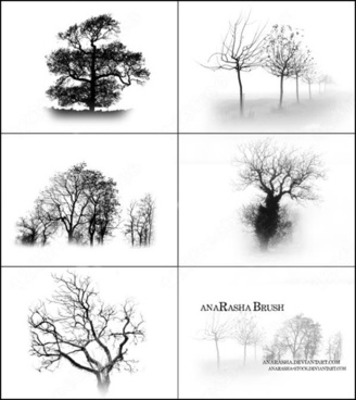 plan view trees photoshop brushes