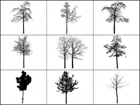 tree brush photoshop free download