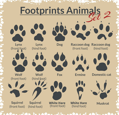 Download Animal Footprints Vector Free Vector Download 9 837 Free Vector For Commercial Use Format Ai Eps Cdr Svg Vector Illustration Graphic Art Design