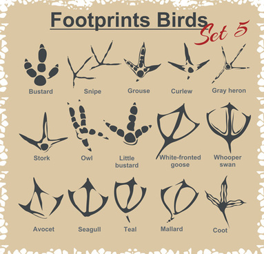 Download Animal Footprints Vector Free Vector Download 9 868 Free Vector For Commercial Use Format Ai Eps Cdr Svg Vector Illustration Graphic Art Design
