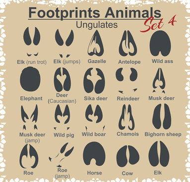 Download Different Animal Footprint Vector Graphics Free Vector In Adobe Illustrator Ai Ai Vector Illustration Graphic Art Design Format Encapsulated Postscript Eps Eps Vector Illustration Graphic Art Design Format