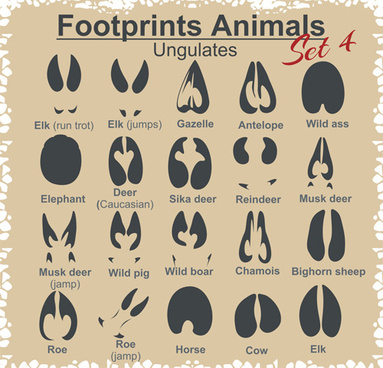 Download Animal Footprints Vector Free Vector Download 9 876 Free Vector For Commercial Use Format Ai Eps Cdr Svg Vector Illustration Graphic Art Design