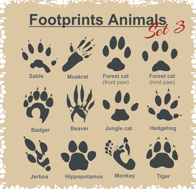 Download Animal Footprints Vector Free Vector Download 9 873 Free Vector For Commercial Use Format Ai Eps Cdr Svg Vector Illustration Graphic Art Design