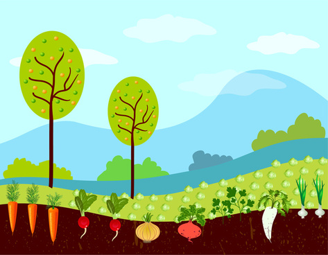 Vegetable farm free vector download (1,948 Free vector) for commercial ...