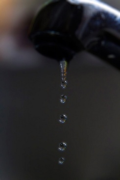 Beautiful Water Drop Images Free Stock Photos Download 15 123 Images, Photos, Reviews