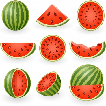 Featured image of post Watermelon Fruit Vector Png Green watermelon watermelon crisp seedless fruit sweetness watermelon food melon png