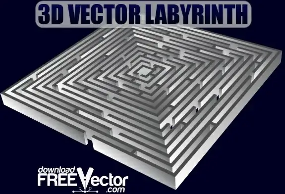 3D Vector Labyrinth